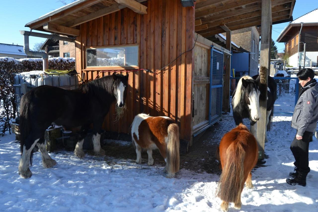 Ferienwohnung Ferien bei Freunden im Holzhaus Monschau Exterior foto